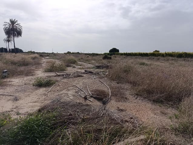 Finca/Landehus til salg i Valverde, Elche / Elx med garage - € 425.000 (Ref: 8423303)