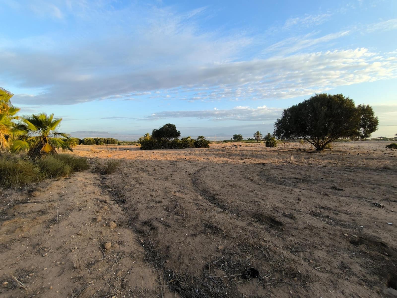 Grunde uden byggetilladelser til salg i La Marina - € 216.000 (Ref: 8559778)
