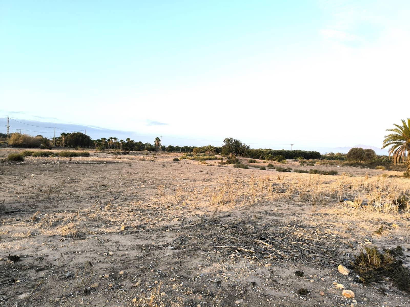 Grunde uden byggetilladelser til salg i La Marina - € 216.000 (Ref: 8559778)