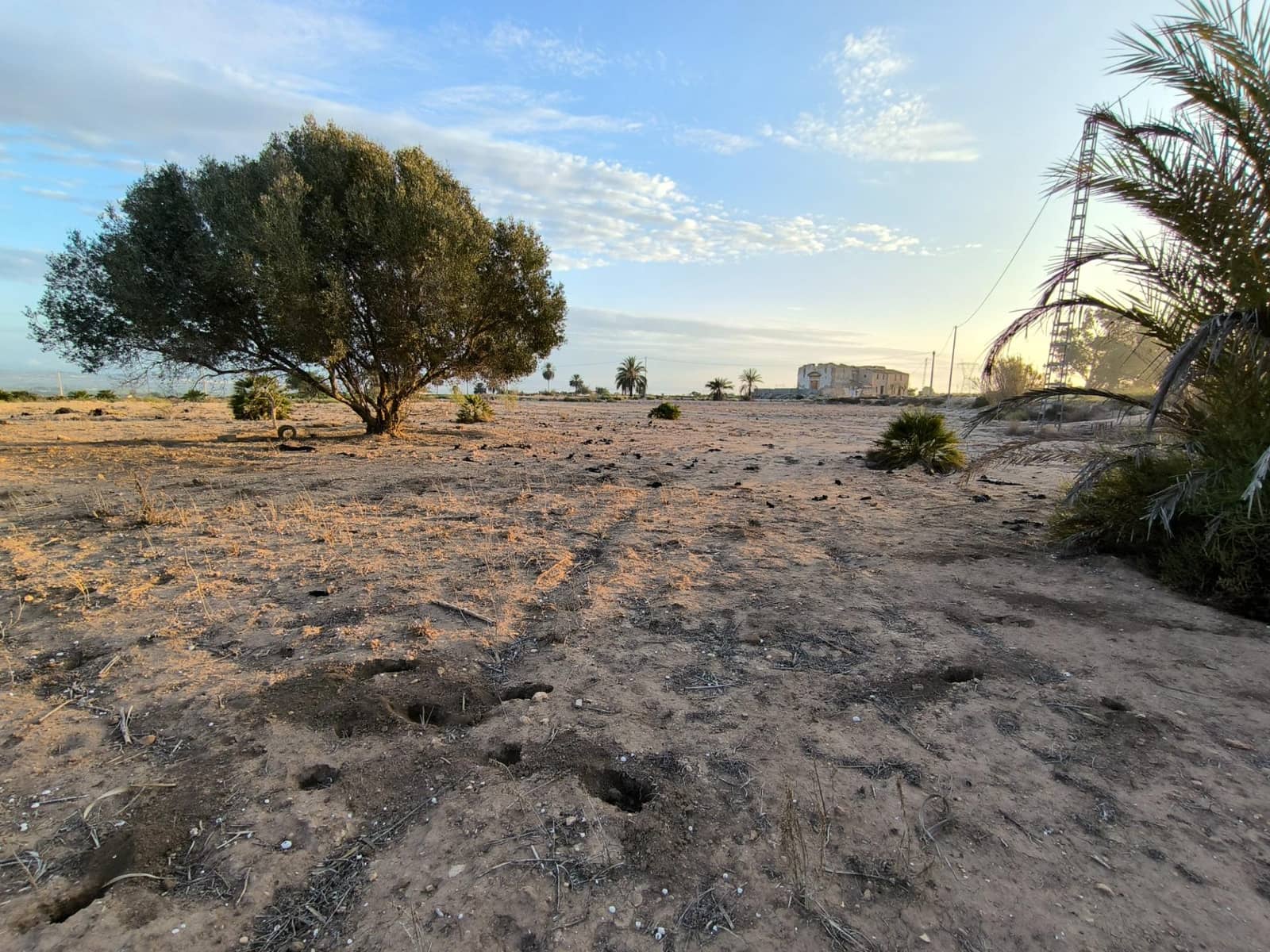 Grunde uden byggetilladelser til salg i La Marina - € 216.000 (Ref: 8559778)