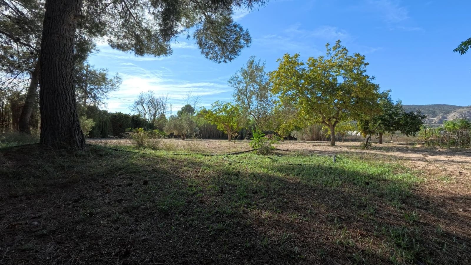 3 chambre Villa/Maison à vendre à Castalla avec piscine - 220 000 € (Ref: 8574155)