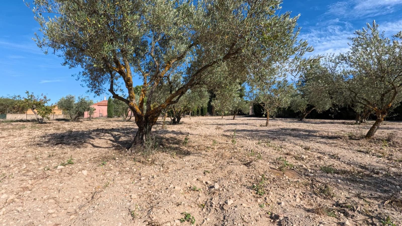 3 soverom Villa til salgs i Castalla med svømmebasseng - € 220 000 (Ref: 8574155)