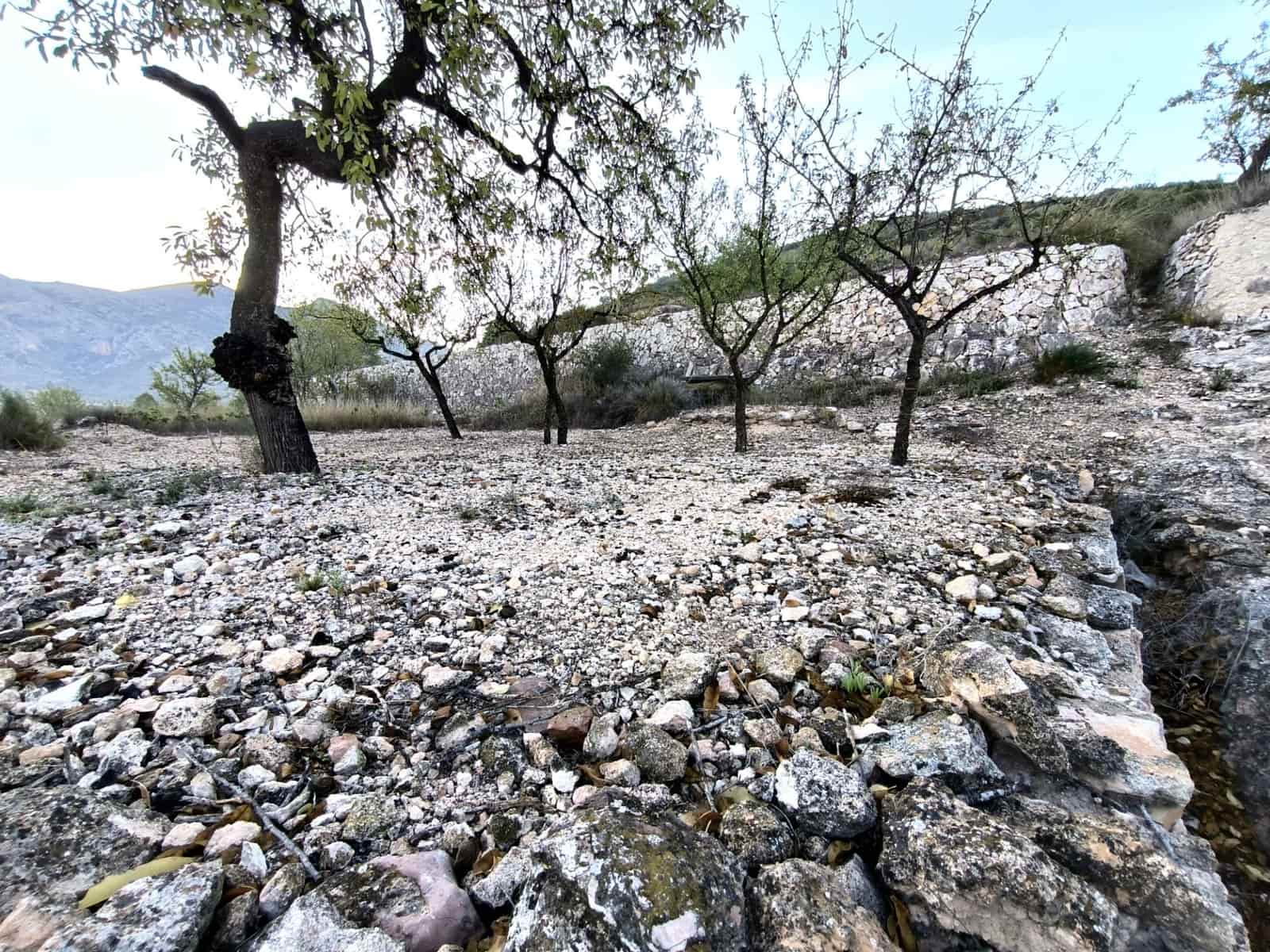 5 bedroom Townhouse for sale in L'Alguena / Alguenya - € 106,000 (Ref: 8584487)