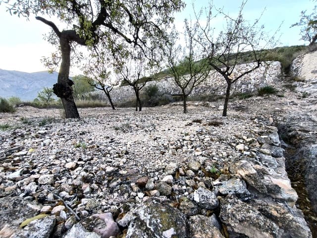 5 soverom Hus til salgs i L'Algueña / Alguenya - € 106 000 (Ref: 8584487)