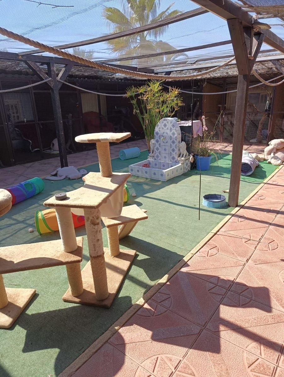 5 makuuhuone Maalaistalo myytävänä paikassa Matola mukana uima-altaan 
autotalli - 598 000 € (Ref: 8638572)