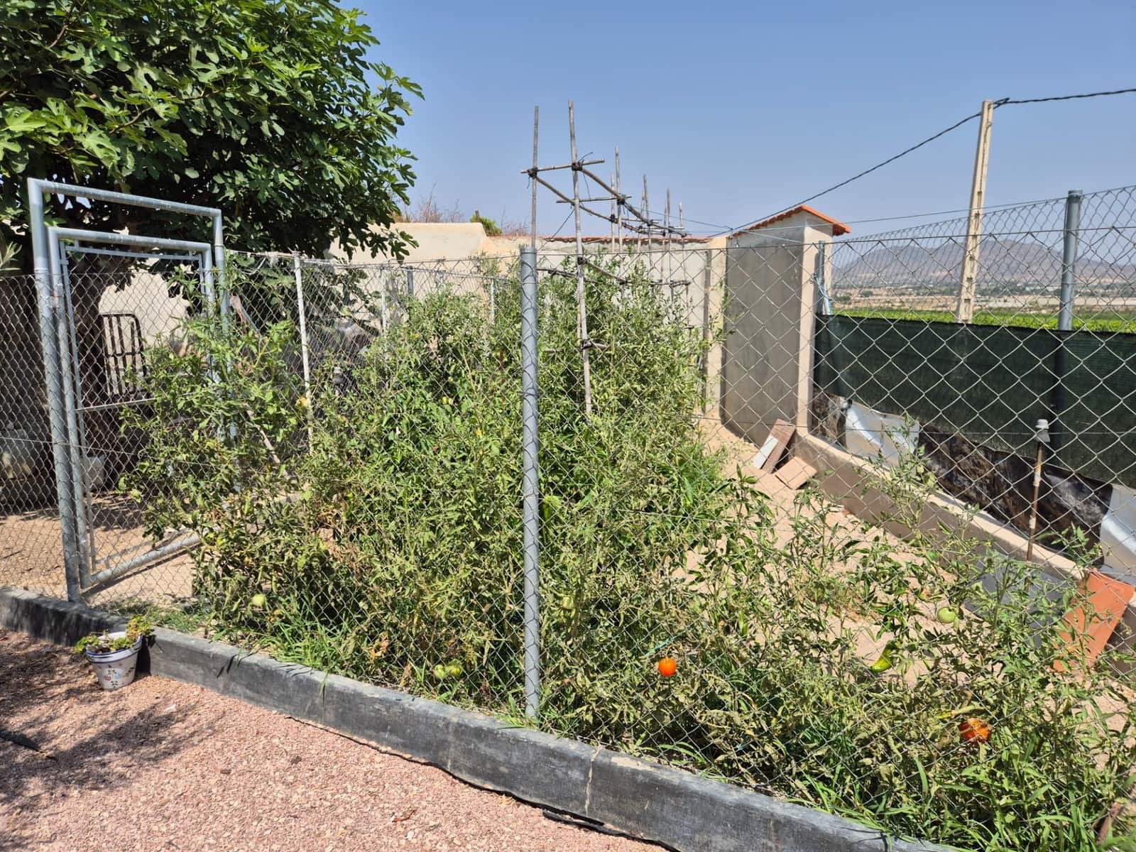 6 chambre Villa/Maison à vendre à Aspe avec piscine garage - 345 000 € (Ref: 8671904)