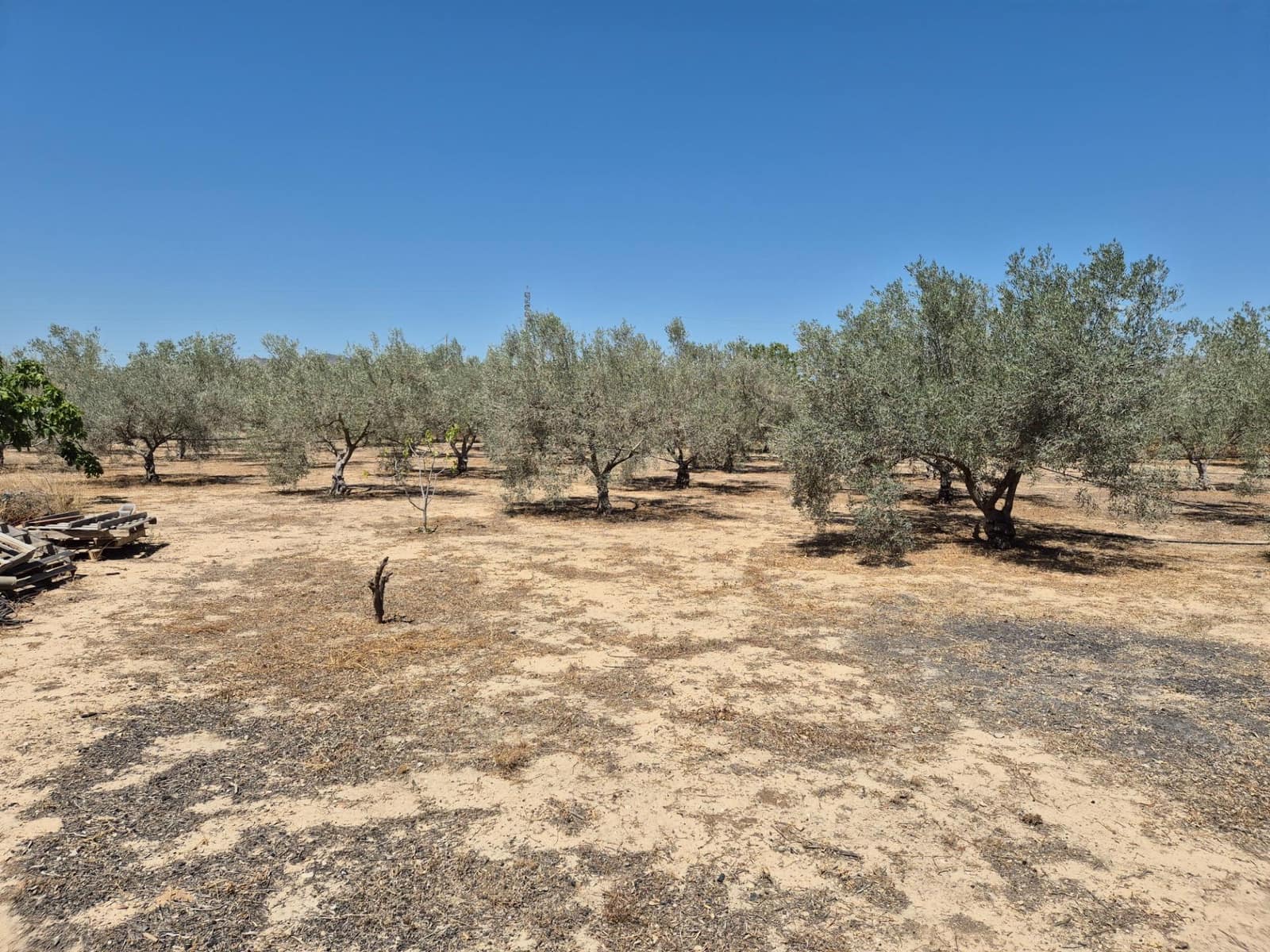 2 bedroom Finca/Country House for sale in Aspe - € 209,999 (Ref: 8703967)