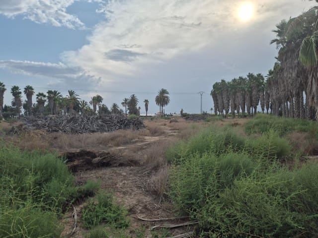 Terreno/Finca Rústica en Elche / Elx en venta - 153.000 € (Ref: 8708187)