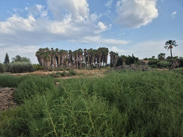 Terreno/Finca Rústica en Elche / Elx en venta - 153.000 € (Ref: 8708187)