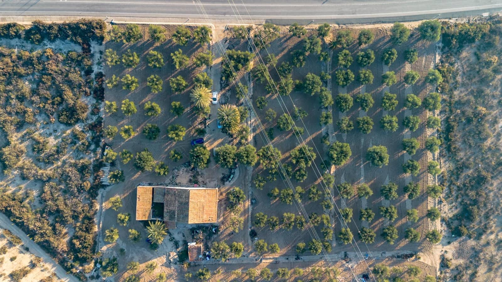 3 Zimmer Finca/Landgut zu verkaufen in Crevillente / Crevillent - 129.900 € (Ref: 8712743)