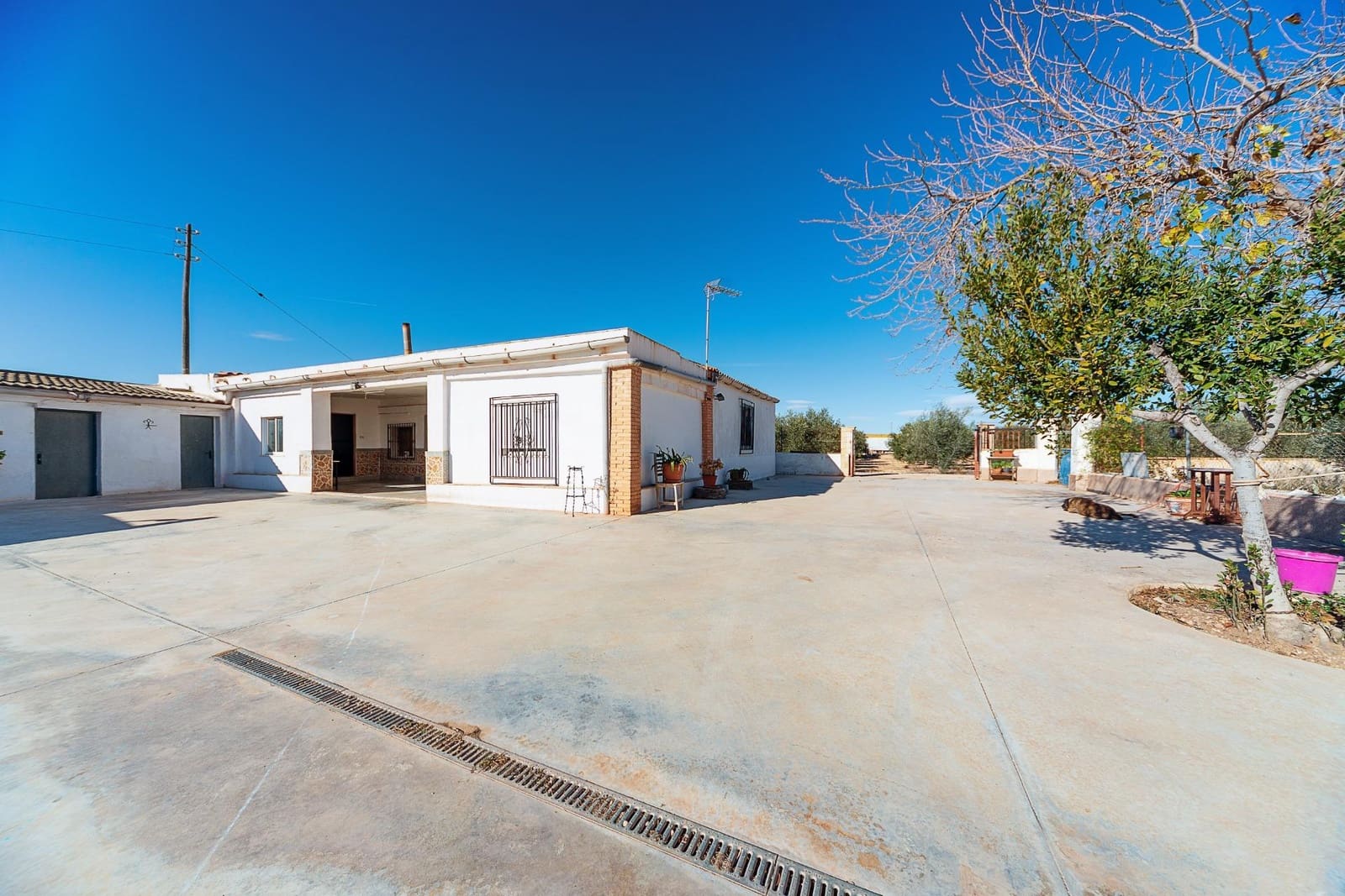 5 sovrum Finca/Hus på landet till salu i Aspe - 174 000 € (Ref: 8735534)