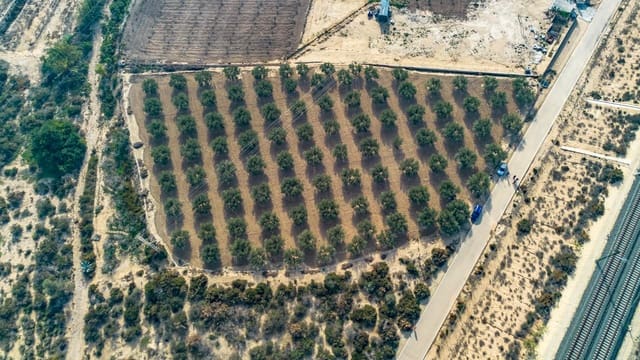 Grond te koop in Crevillente / Crevillent - € 28.990 (Ref: 8776513)