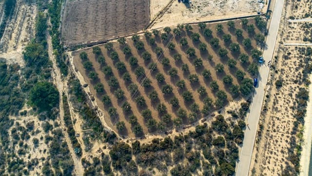 Grond te koop in Crevillente / Crevillent - € 28.990 (Ref: 8776513)