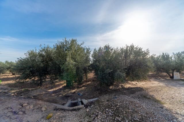 Grond te koop in Crevillente / Crevillent - € 28.990 (Ref: 8776513)