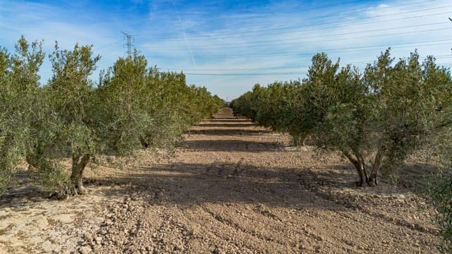 Grond te koop in Crevillente / Crevillent - € 28.990 (Ref: 8776513)