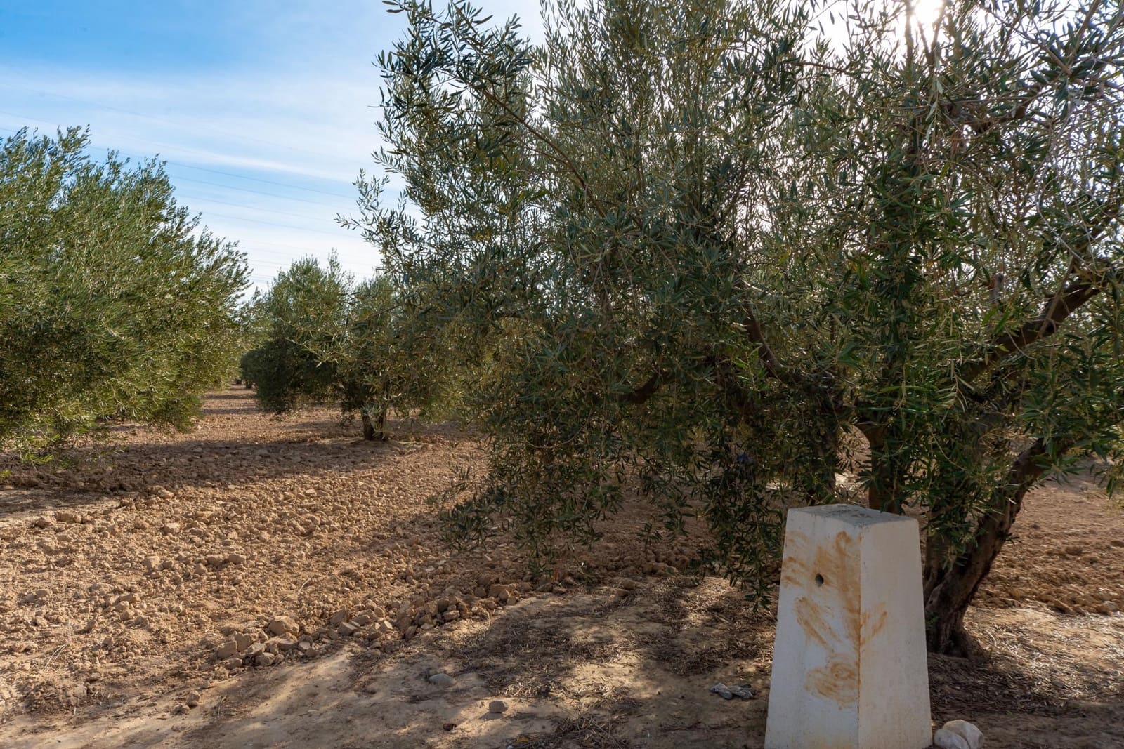 Grunde uden byggetilladelser til salg i Crevillente / Crevillent - € 28.990 (Ref: 8776513)