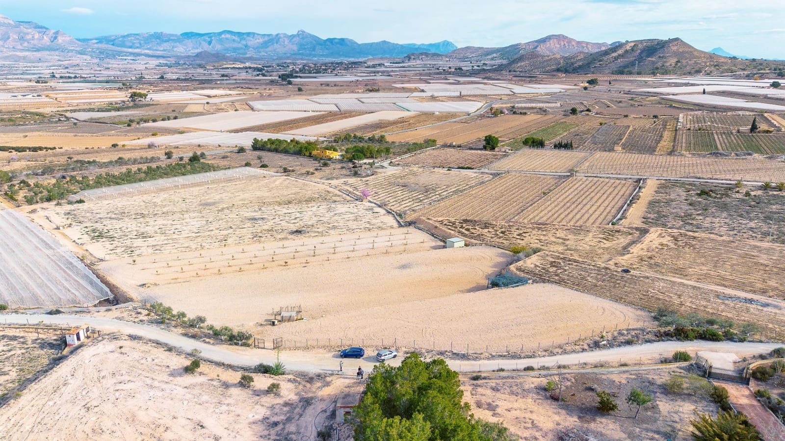 Undeveloped Land for sale in Monforte del Cid - € 42,000 (Ref: 8841140)