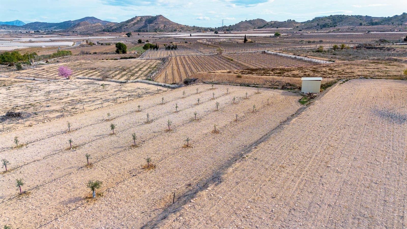 Undeveloped Land for sale in Monforte del Cid - € 42,000 (Ref: 8841140)