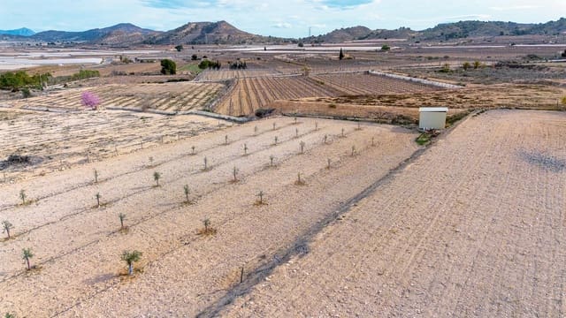 Rakentamaton maa myytävänä paikassa Monforte del Cid - 42 000 € (Ref: 8841140)