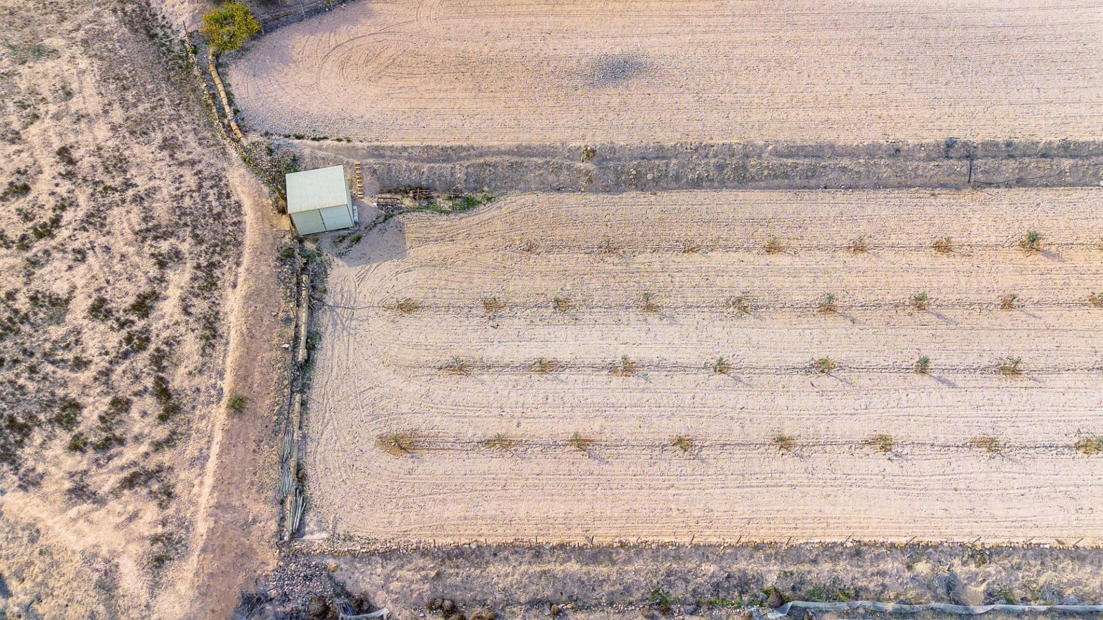 Undeveloped Land for sale in Monforte del Cid - € 42,000 (Ref: 8841140)