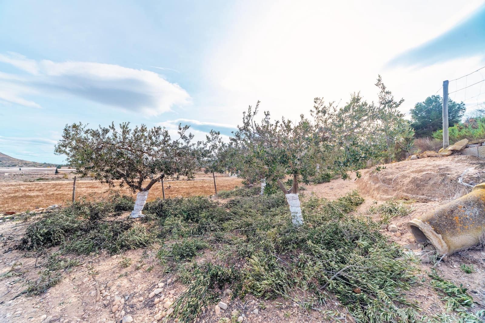 Undeveloped Land for sale in Monforte del Cid - € 42,000 (Ref: 8841140)