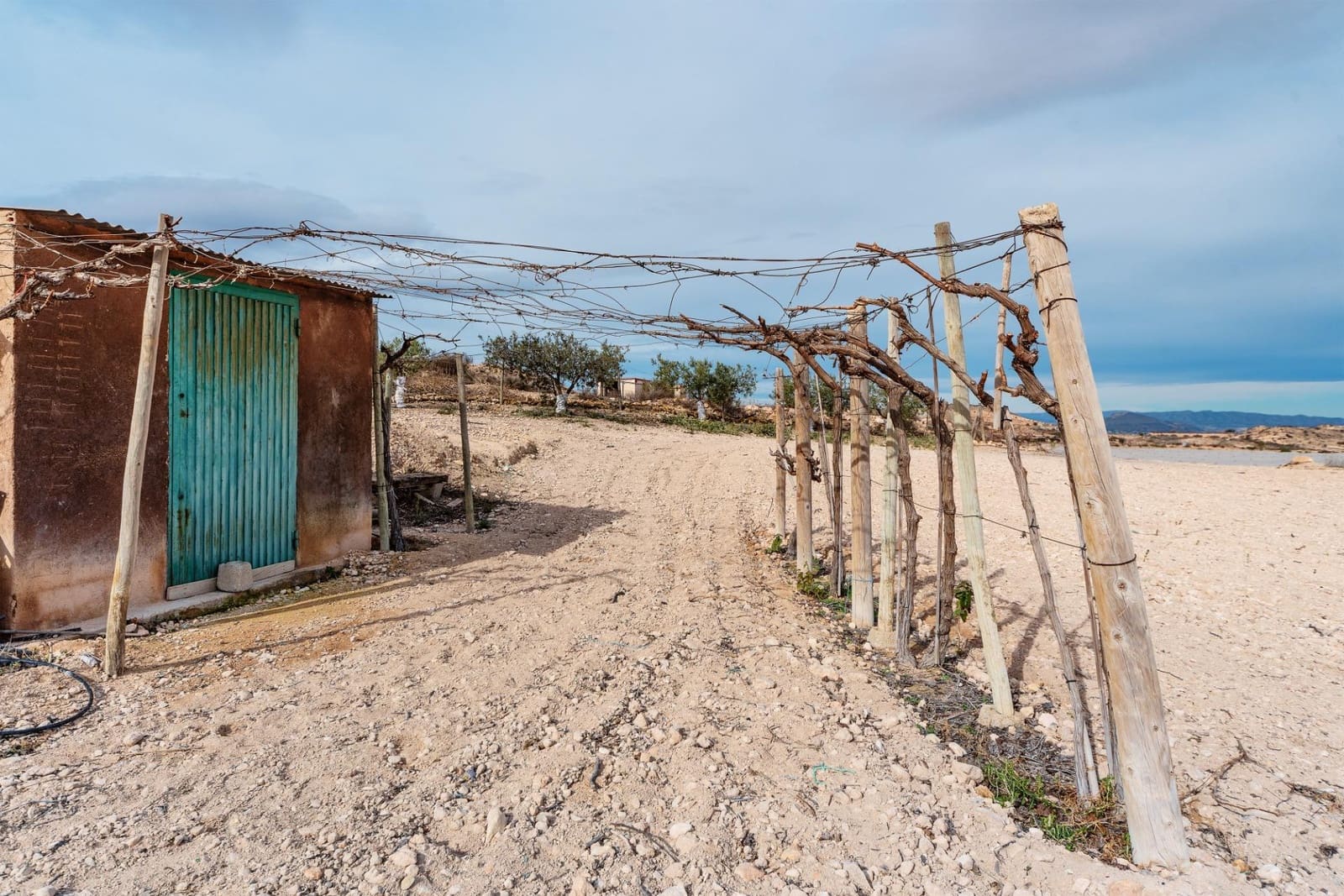 Undeveloped Land for sale in Monforte del Cid - € 42,000 (Ref: 8841140)