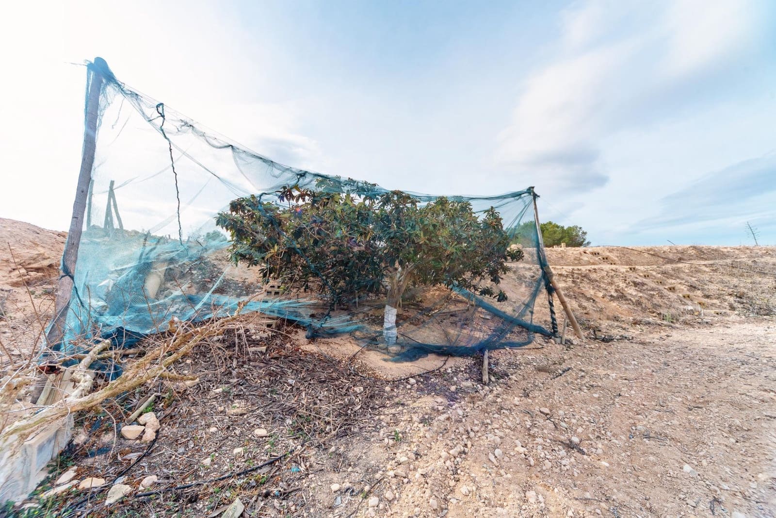 Undeveloped Land for sale in Monforte del Cid - € 42,000 (Ref: 8841140)