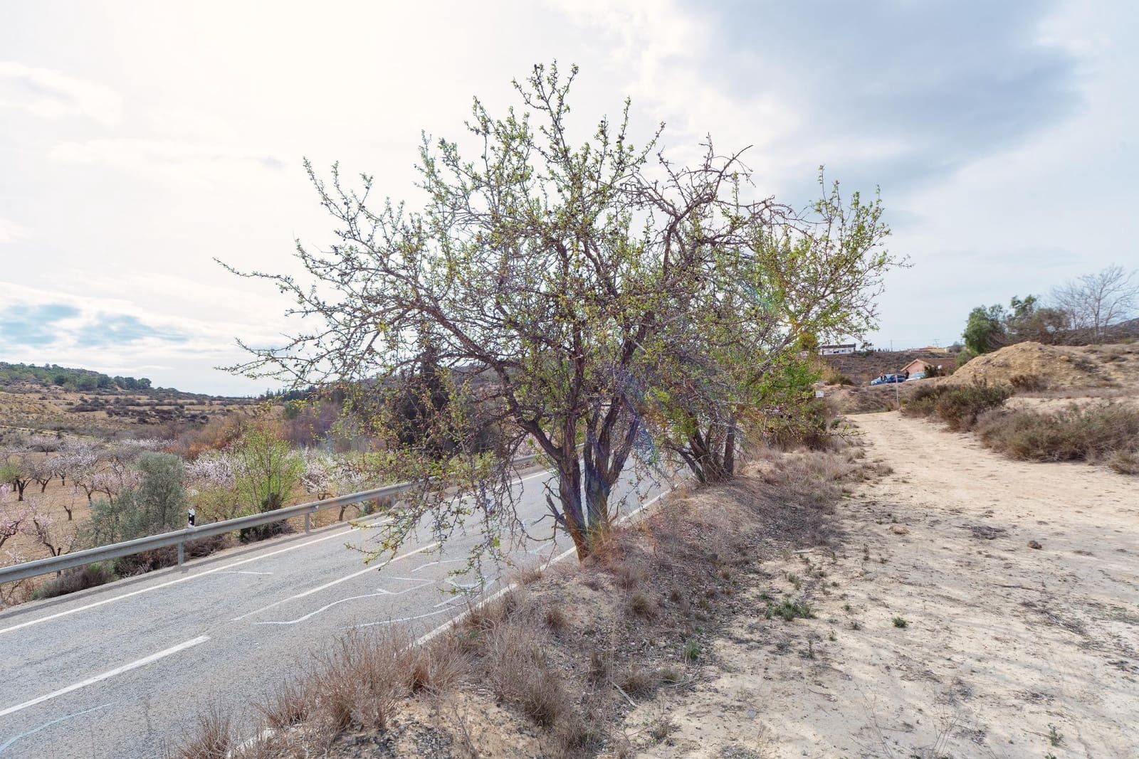 Terreno Non Edificato in vendita in Aspe - 24.000 € (Rif: 8841141)