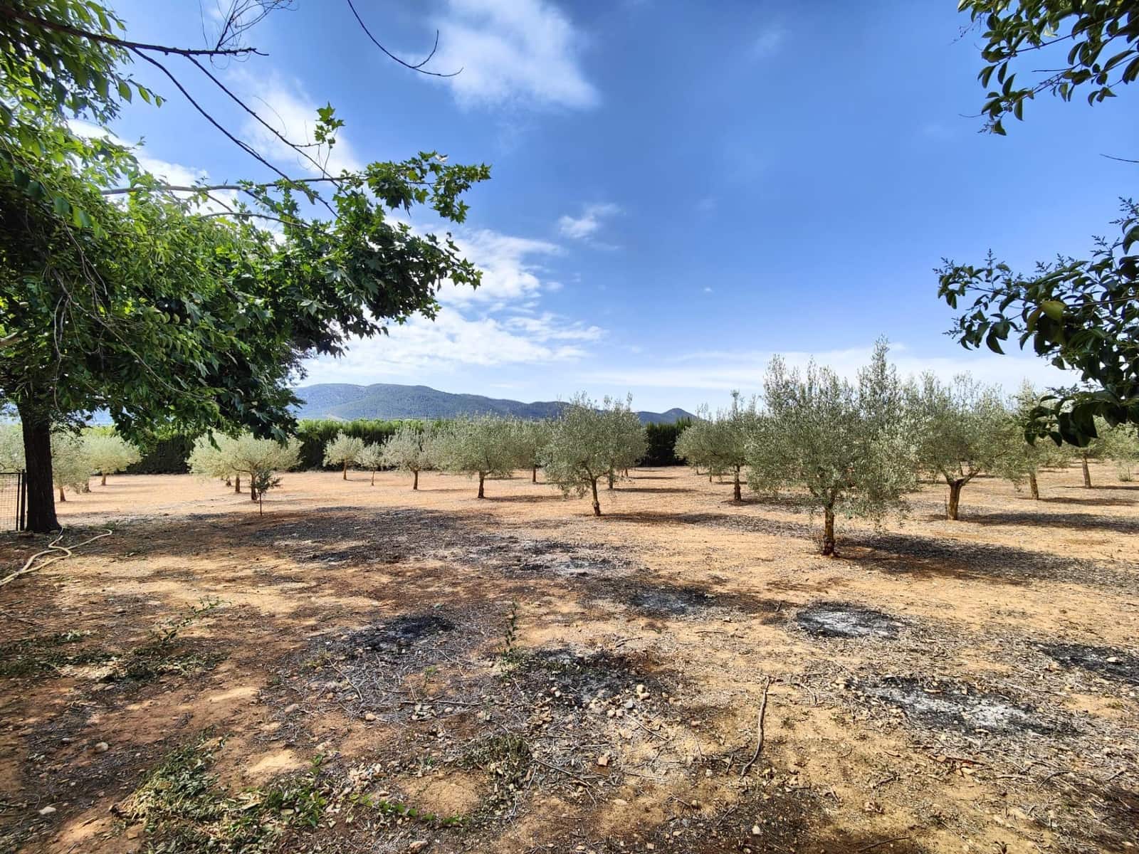 5 makuuhuone Huvila myytävänä paikassa Banyeres de Mariola mukana uima-altaan 
autotalli - 430 000 € (Ref: 8847713)