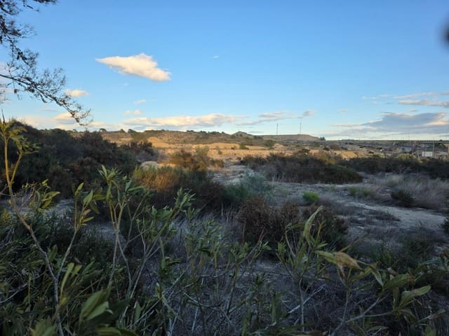 Teren niezagospodarowany na sprzedaż w Monforte del Cid - 249 000 € (Ref: 8847717)