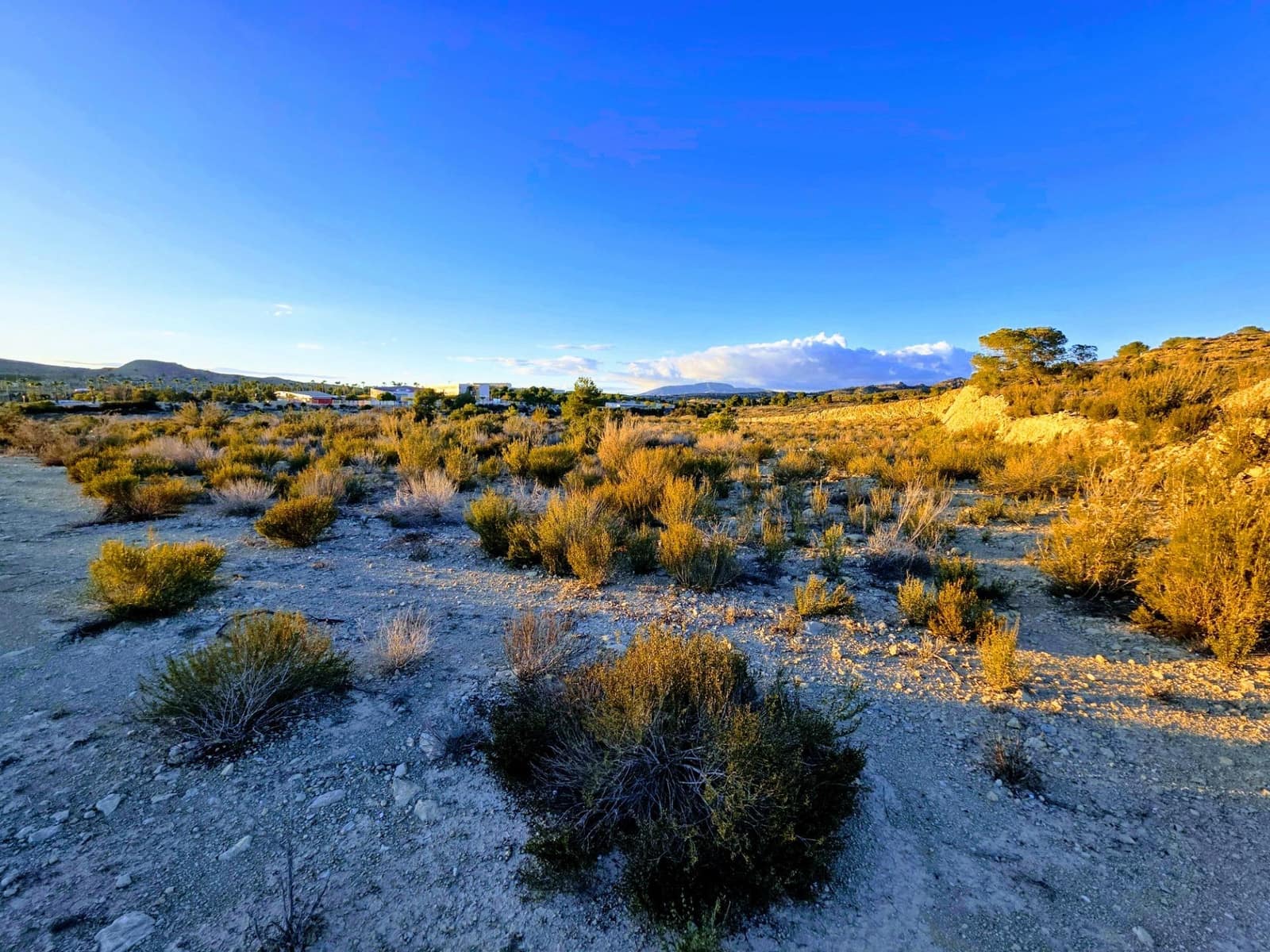 Teren niezagospodarowany na sprzedaż w Monforte del Cid - 249 000 € (Ref: 8847717)