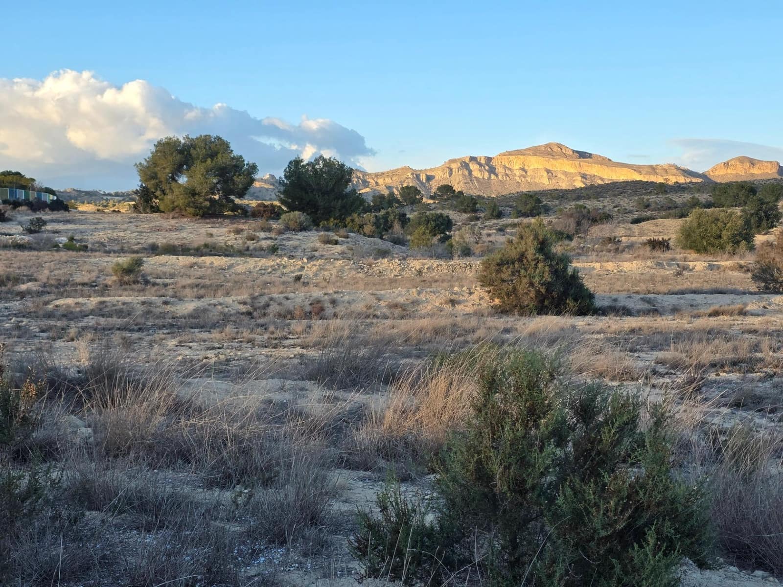 Teren niezagospodarowany na sprzedaż w Monforte del Cid - 249 000 € (Ref: 8847717)