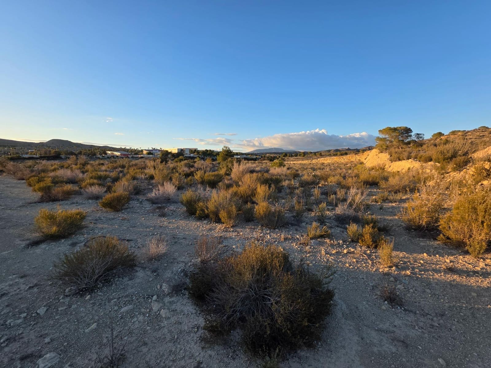 Teren niezagospodarowany na sprzedaż w Monforte del Cid - 249 000 € (Ref: 8847717)