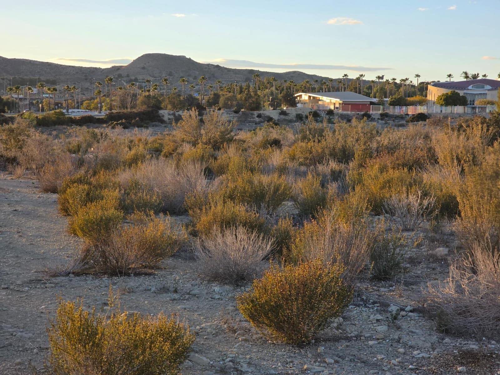 Teren niezagospodarowany na sprzedaż w Monforte del Cid - 249 000 € (Ref: 8847717)