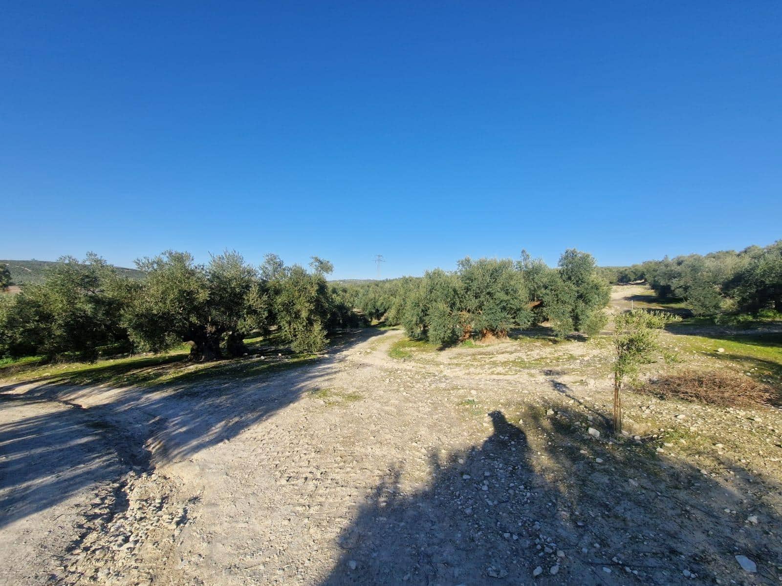 Grond te koop in Montilla - € 27.000 (Ref: 8849606)