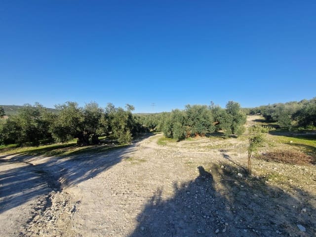 Grond te koop in Montilla - € 27.000 (Ref: 8849606)