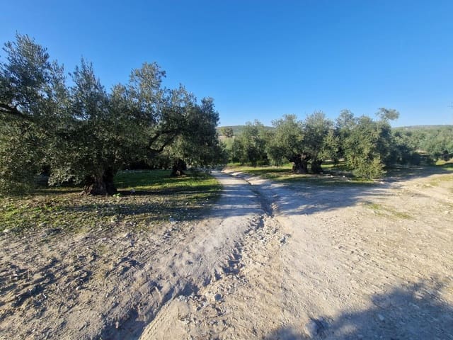 Grond te koop in Montilla - € 27.000 (Ref: 8849606)