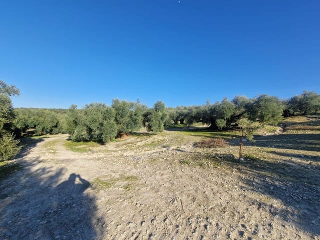 Grond te koop in Montilla - € 27.000 (Ref: 8849606)