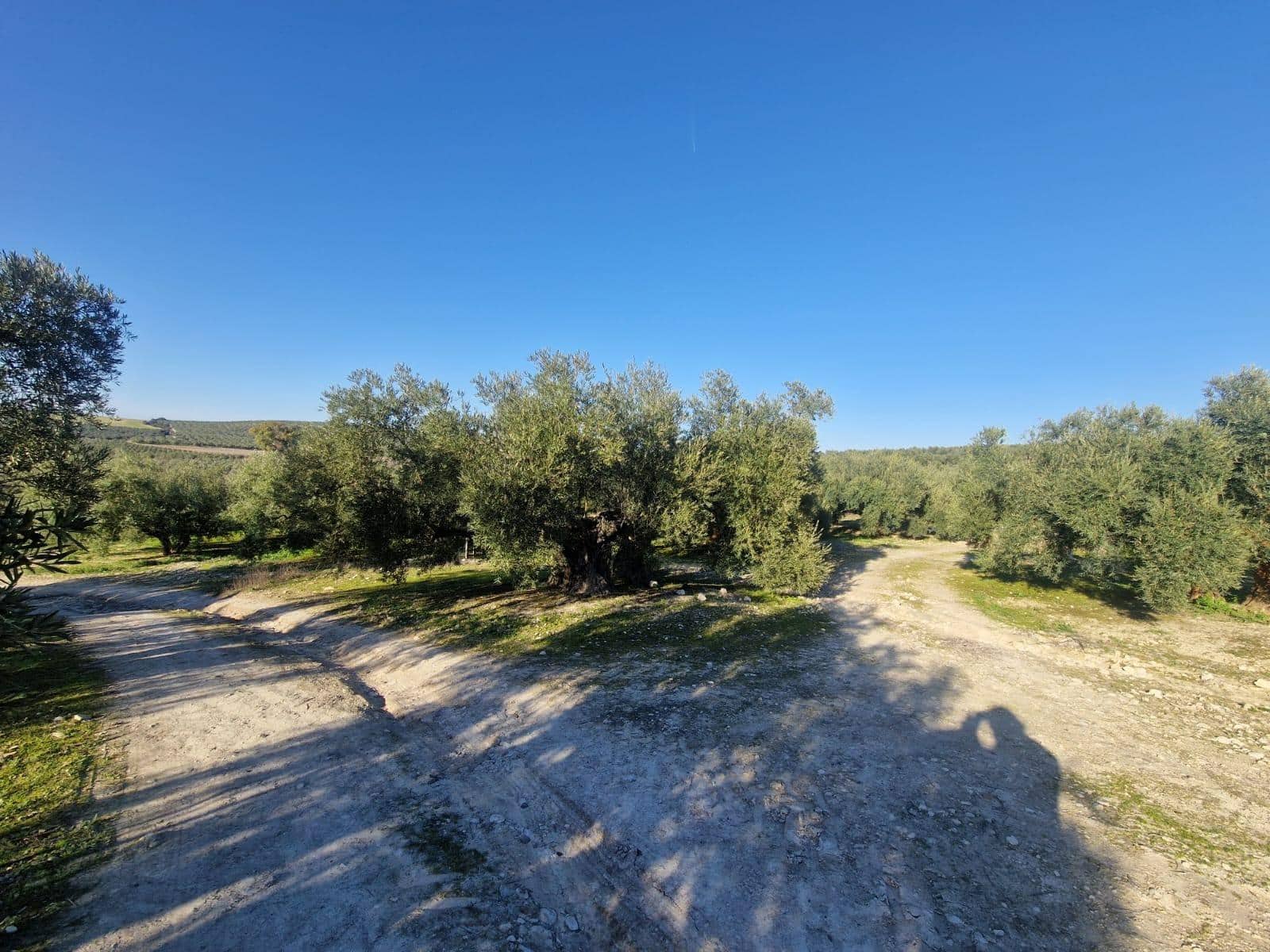 Grond te koop in Montilla - € 27.000 (Ref: 8849606)