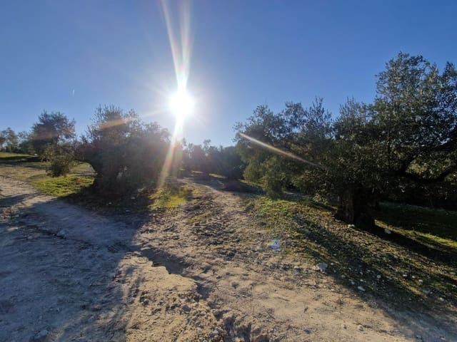 Grond te koop in Montilla - € 27.000 (Ref: 8849606)