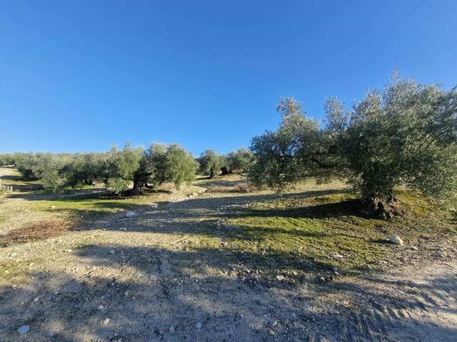 Grond te koop in Montilla - € 27.000 (Ref: 8849606)