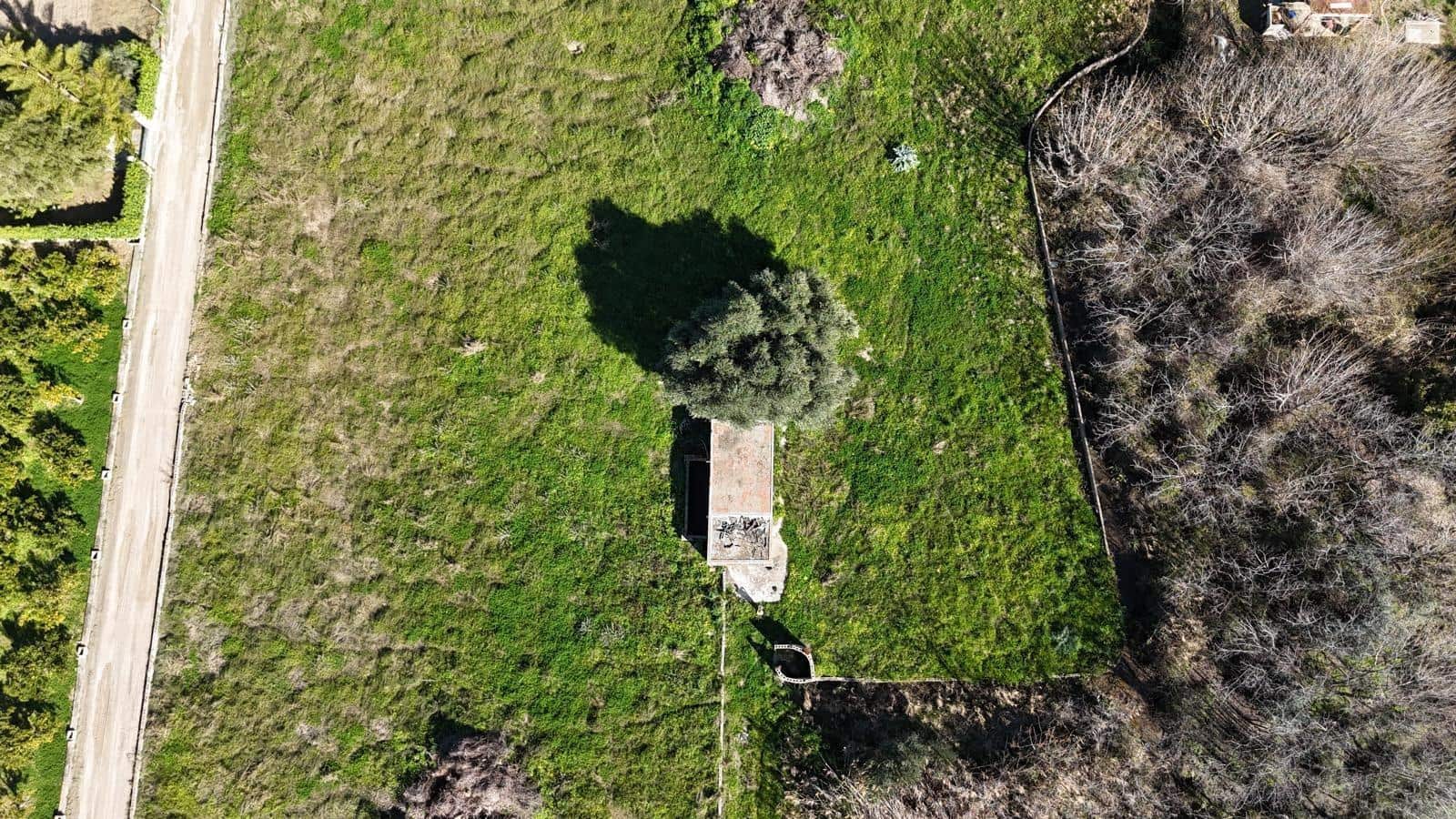 Terreno Não Urbanizado para venda em Oliva - 125 000 € (Ref: 8862730)