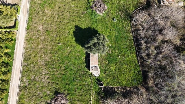 Terreno Não Urbanizado para venda em Oliva Pueblo, Oliva - 125 000 € (Ref: 8862730)