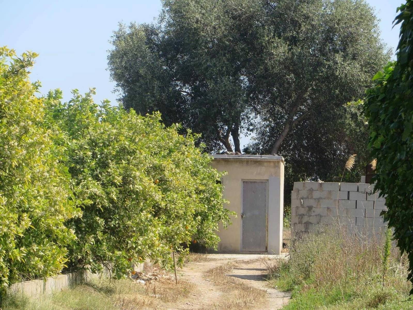 Terreno Não Urbanizado para venda em Oliva - 125 000 € (Ref: 8862730)