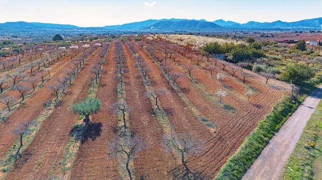 Tomt till salu i Vall d'Alba - 59 900 € (Ref: 8865324)