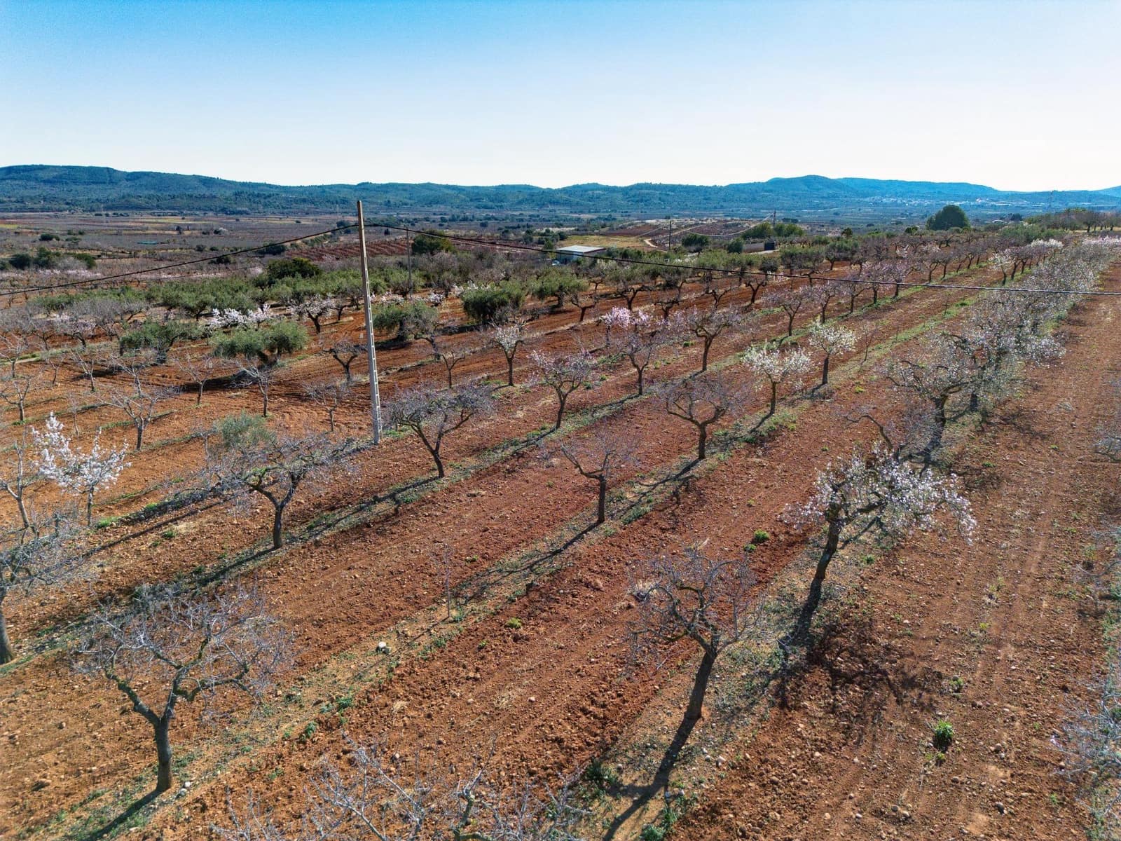 Działka budowlana na sprzedaż w Vall d'Alba - 59 900 € (Ref: 8865324)