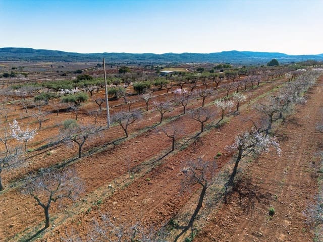 Tomt till salu i Vall d'Alba - 59 900 € (Ref: 8865324)