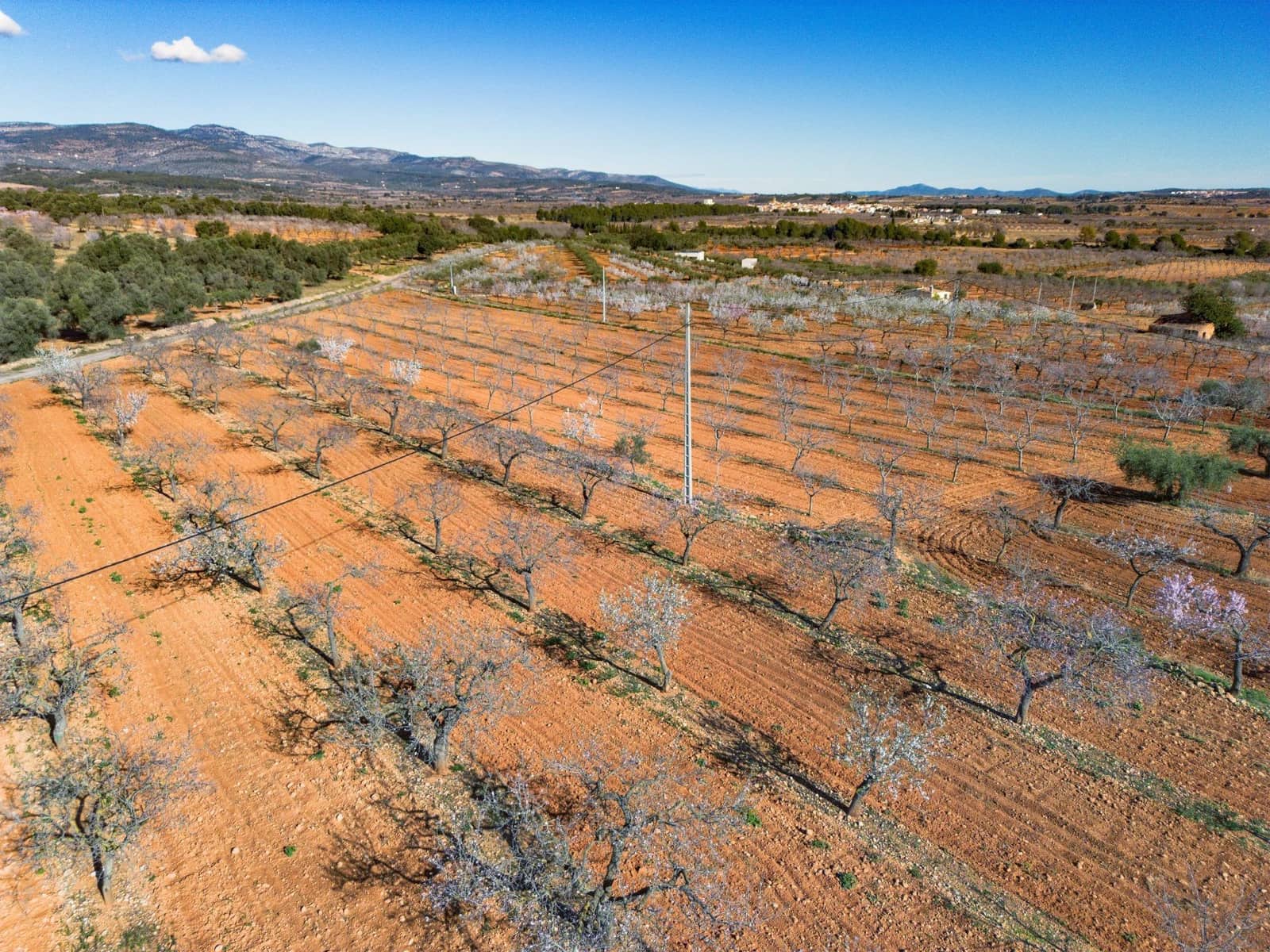 Działka budowlana na sprzedaż w Vall d'Alba - 59 900 € (Ref: 8865324)