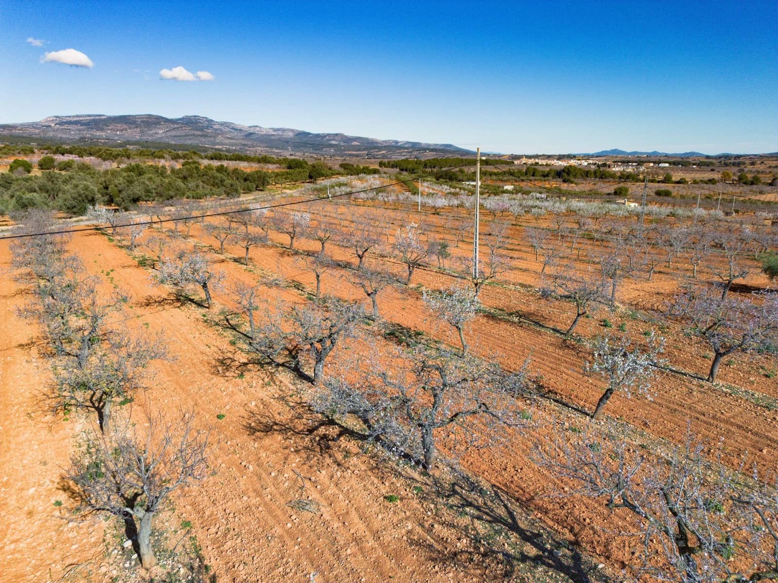 Działka budowlana na sprzedaż w Vall d'Alba - 59 900 € (Ref: 8865324)