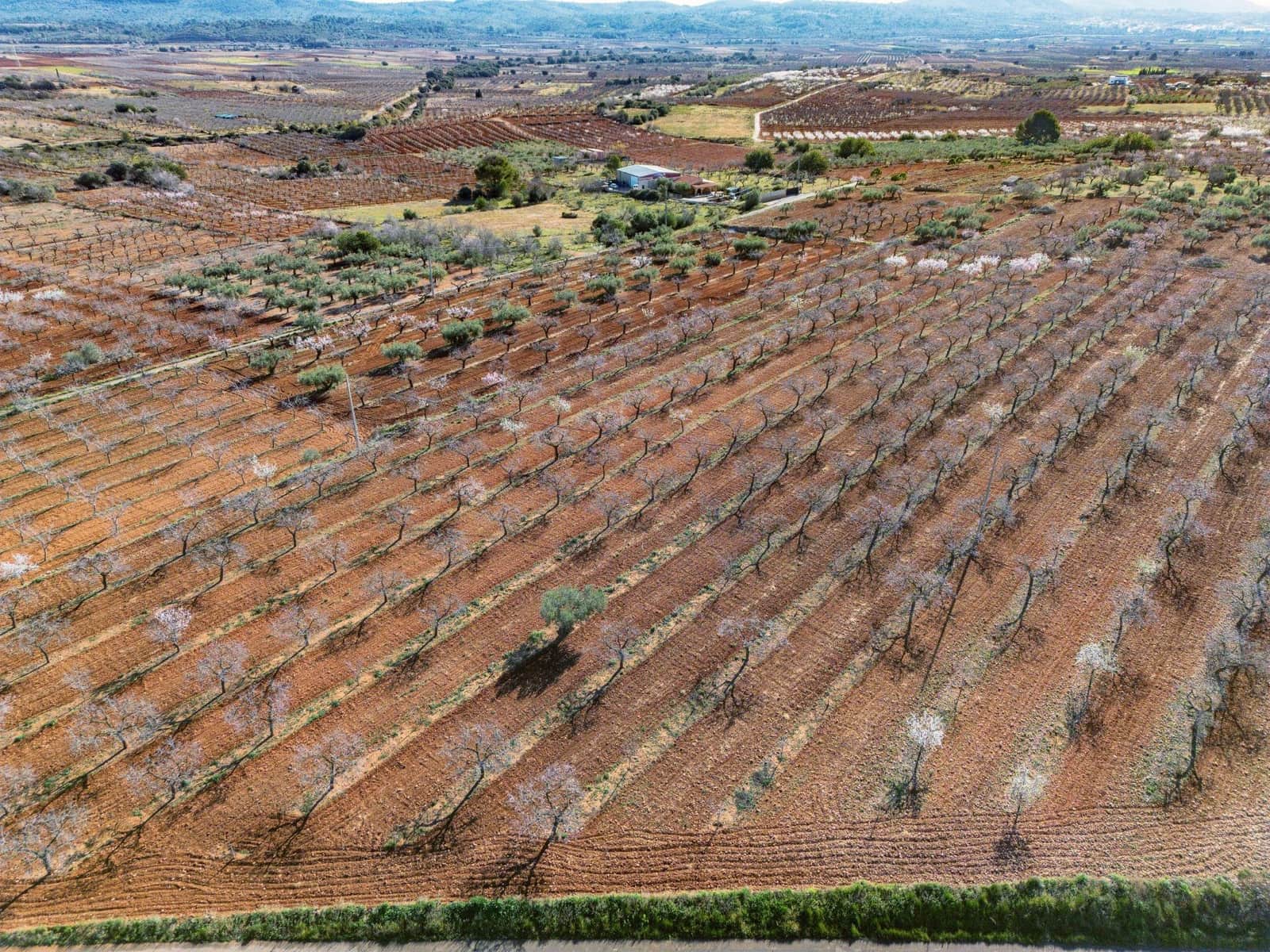 Działka budowlana na sprzedaż w Vall d'Alba - 59 900 € (Ref: 8865324)